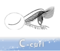 Cカール
